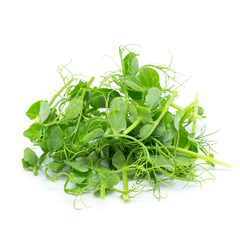 Семена микрозелени (для проращивания) в мелкой фасовке