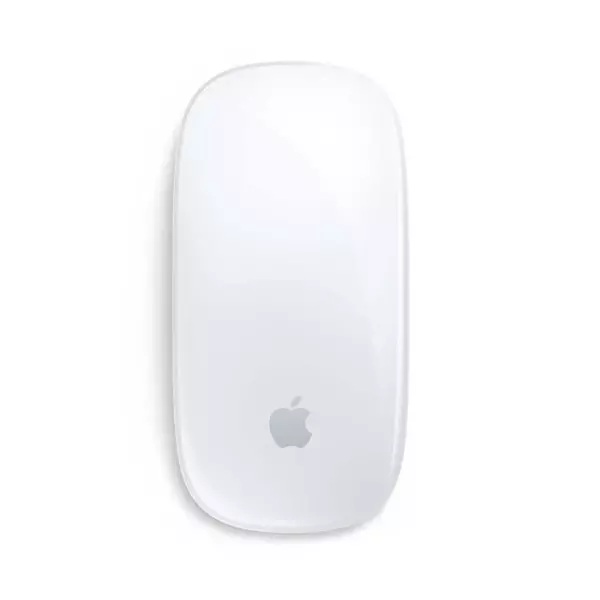 Apple Magic Mouse – купить по лучшей цене | connect.perm