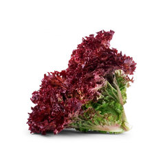 Семена салата Лолло Росса в мелкой фасовке