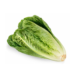 Семена салата Ромэн (Романо) в мелкой фасовке