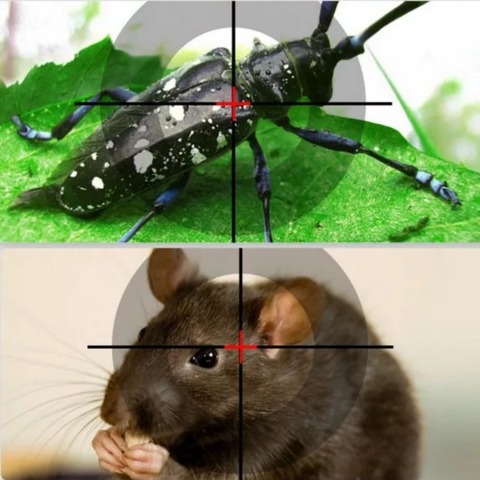 Средства от насекомых и грызунов