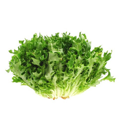 Семена салата Эндивий (Фризе) в мелкой фасовке