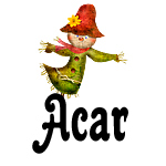 Acar