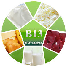 Витамин B13