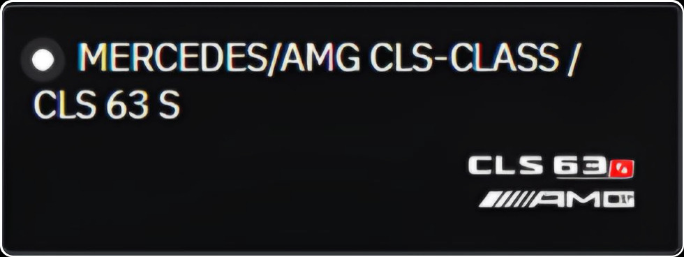 MERCEDES/AMG CLS-Class/CLS63S | RP AUTOPARTS