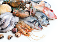 Живые морепродукты