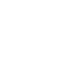 noroot__4_.png