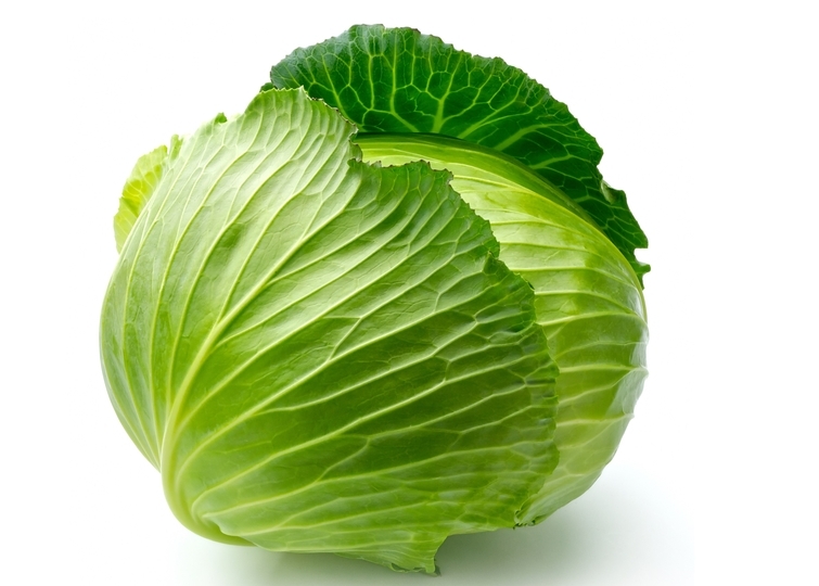 Капуста | alex-agro.com