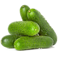 Семена огурцов корнишонов