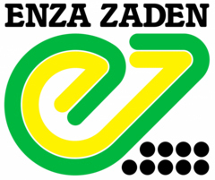 Купить семена Enza Zaden в профупаковке из Голландии оптом - АГРООПТ