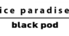 Black Pod