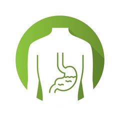 healthy-stomach-flat-design-long-shadow-glyph-icon-human-organ-in-good-health-people-wellness-fu.jpg