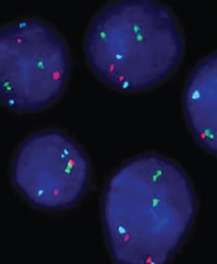 Генетическая лаборатория