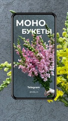 МОНОБУКЕТЫ