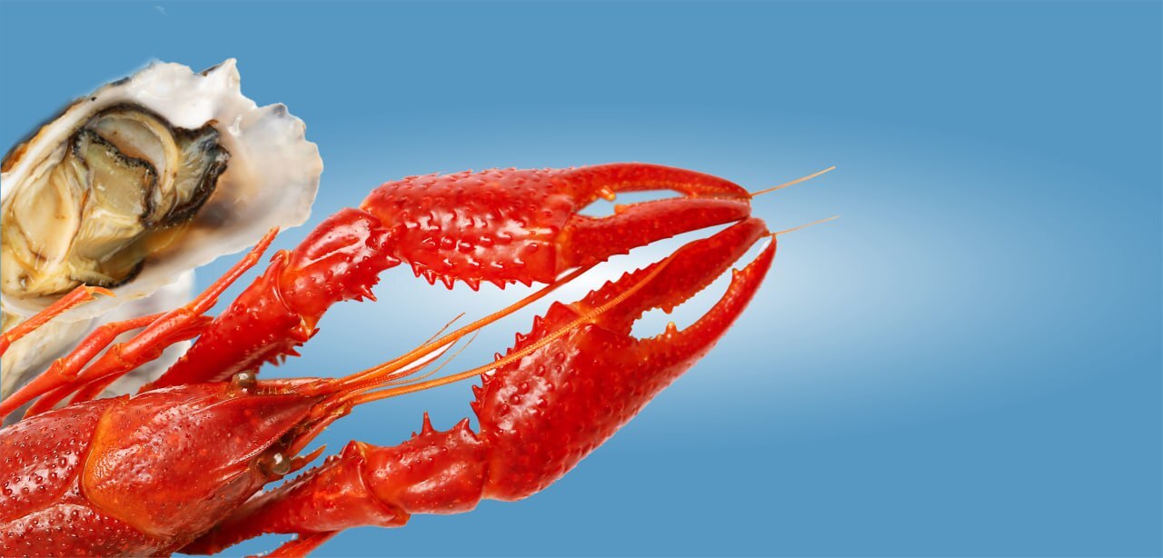 Живые Устрицы и Раки | Морепродукты Ульяновск