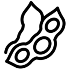 5203.png
