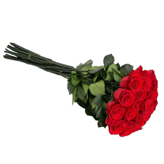 IMG_20230707_124347.png