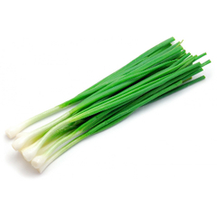 Семена лука на зелень