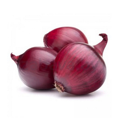 Семена красного репчатого лука
