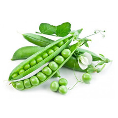 Семена бобовых культур