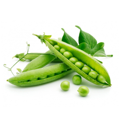 Семена гороха