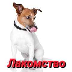 Лакомства