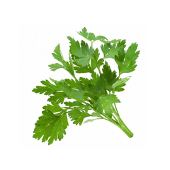 Семена петрушки