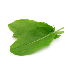 Семена щавеля