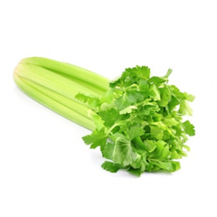 Семена сельдерея