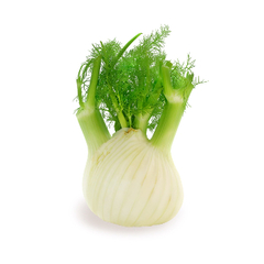 Семена фенхеля