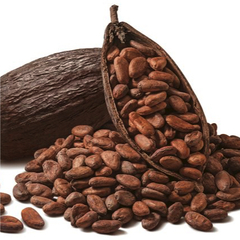 Какао и какао продукты