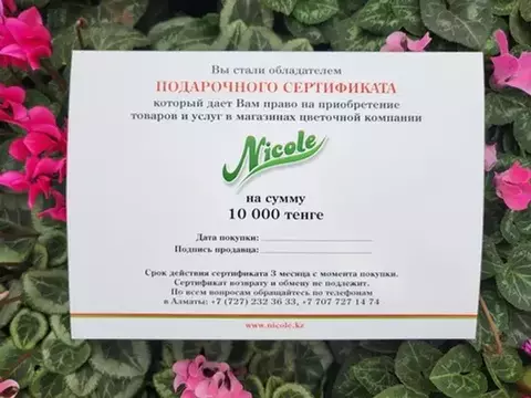 Сертификаты