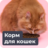 Корма для кошек