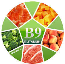 Витамин B9