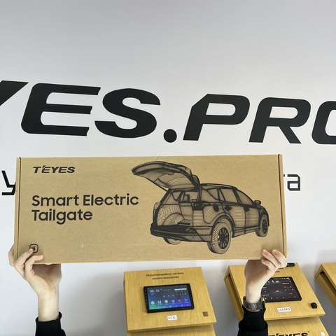 Электробагажники