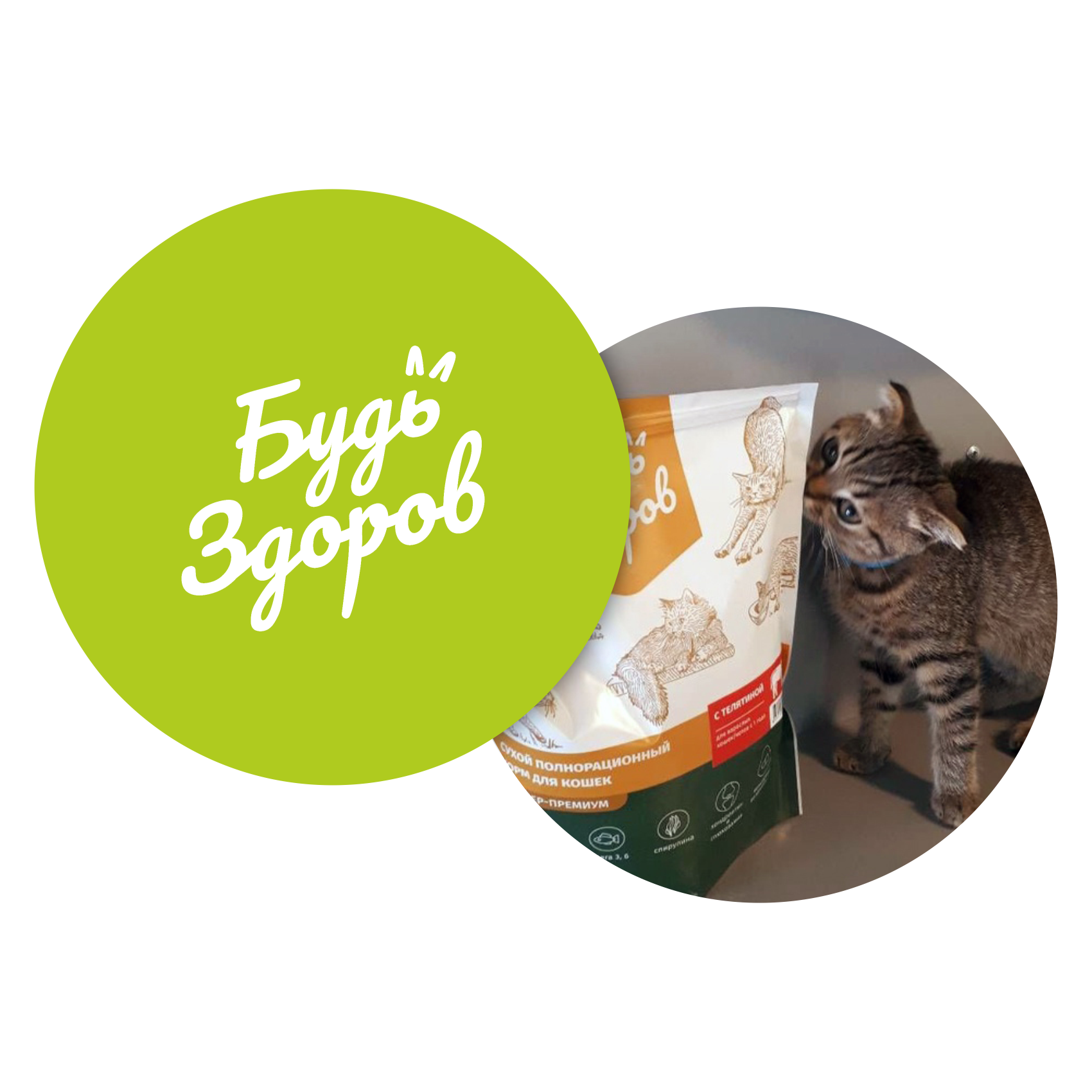 Купить корм "Будь Здоров" для кошек Челябинск | Vyshehvost.ru