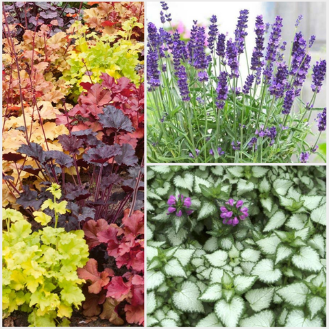 Собственное производство