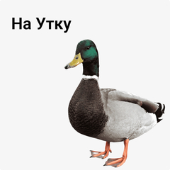 на Утку