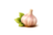 Чеснок для посадки