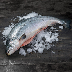 Свежемороженая