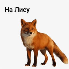 на Лису