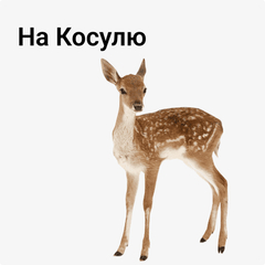на Косулю