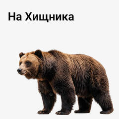 на хищника