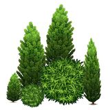 Искусственные туи изображение