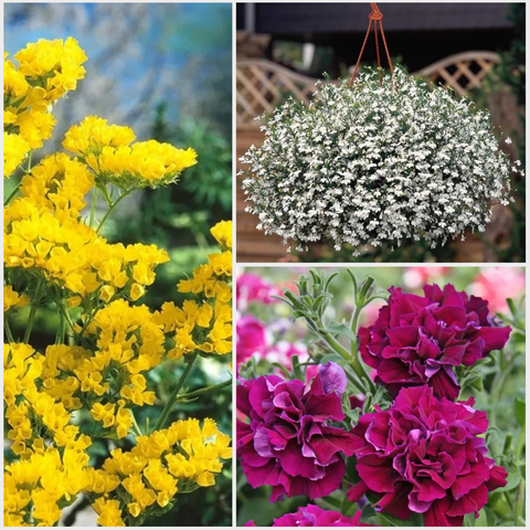 Сезонный материал