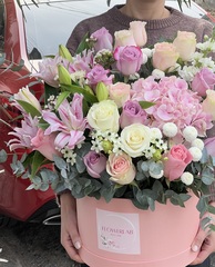 კატეგორიები