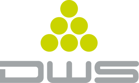 Лого DWS Systems