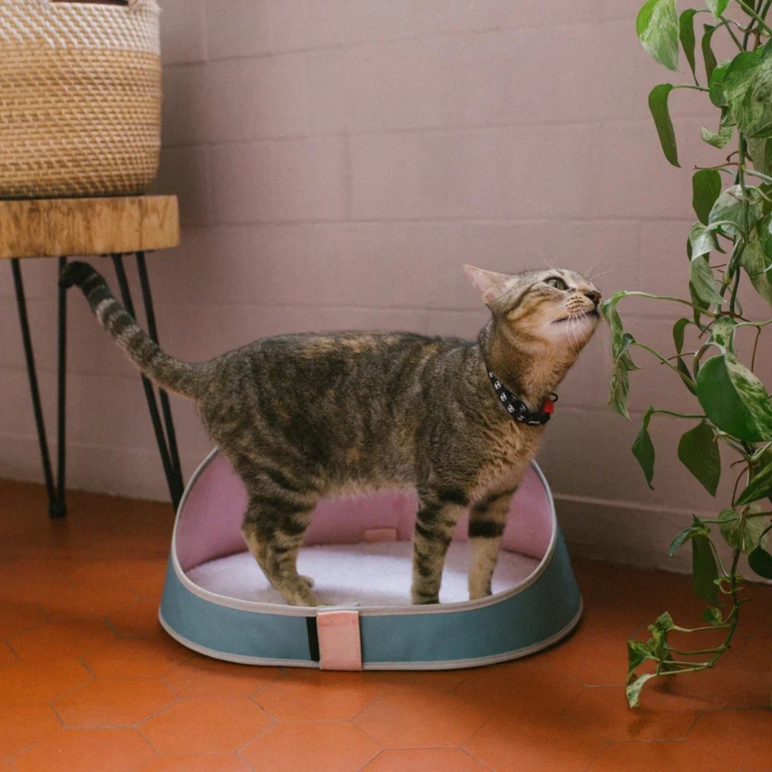 Предлагаем купить лежанки для кошек и мелких собак Zee.Cat. Удобная ...
