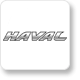 HAVAL