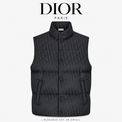 Мужские жилеты Dior